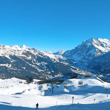 Wieseli By Interhome Grindelwald
