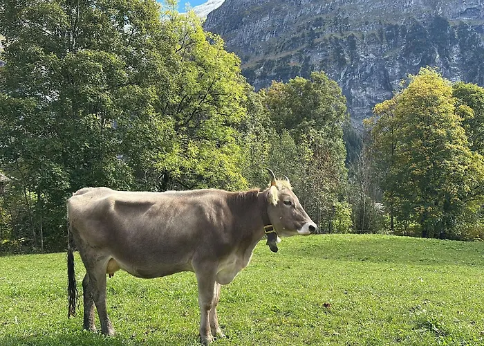 Wieseli By Interhome Apartment