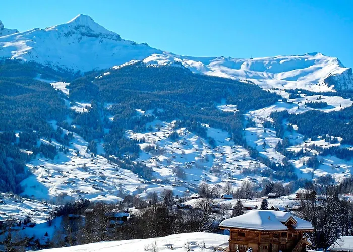 Wieseli By Interhome Grindelwald