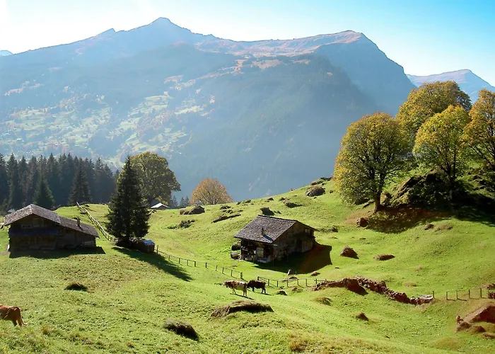 アパート Wieseli By Interhome